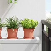 vidaXL Rund Blomkruka 24 pcs Murgrön Ø 15 x 12 cm Plast