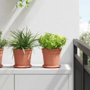 vidaXL Rund Blomkruka 24 pcs Murgrön Ø 17 x 14 cm Plast