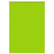 vidaXL Rullgardin mörkläggning blad grön 105x175 cm tyg bredd 100,7 cm