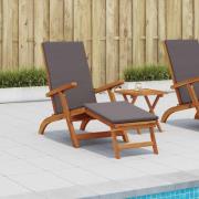 vidaXL Reclining och Fällbar Solstol 55 x 146 x 91 cm