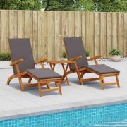 vidaXL Reclining och Fällbar Solstol 2 pcs Grå 55 x 146 x 91 cm