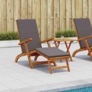 vidaXL Reclining och Fällbar Solstol 2 pcs Mörkgrå Massivt Akaciaträ