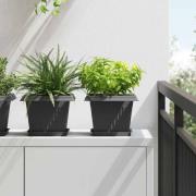 vidaXL Fyrkantig Blomkruka 6 pcs Svart 18 x 18 x 2 cm Plast