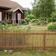 vidaXL Trädgårdsstängsel Karbomiserad 300 x 80 cm Vass