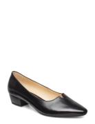 Gabor Pumps Svart