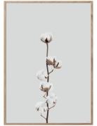 Cotton Flower Home Decoration Posters & Frames Posters Botanical Multi...