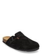 Scholl Sl Olivier Suede Black Svart
