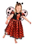 Den Goda Fen Ladybug Costume Röd