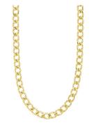 Pilgrim Charm Recycled Curb Necklace Guld