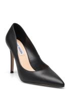 Steve Madden Evelyn-E Svart