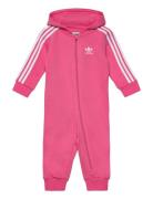 Adidas Originals Sie Rosa