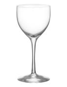 More Nick & Nora Glass 2-Pack Home Tableware Glass Wine Glass Red Wine...