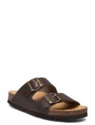 Scholl Sl Josephine Leather Cee Brun