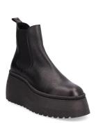 Steve Madden Pegasus Bootie Svart