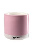 PANT Pant Latte Thermo Cup Rosa