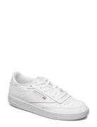 Reebok Classics Club C 85 Vit