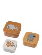 Snack Box Set 3 Pcs Sea Friends Home Meal Time Lunch Boxes Orange D By...