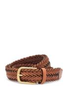 Saddler Vico Brun
