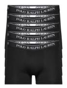 Polo Ralph Lauren Underwear Bci Cotton/Elastane-5Pk-Trn Svart