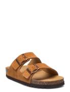 Scholl Sl Josephine Suede Brun