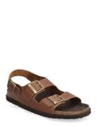 Scholl Sl Gaston Leather Brun