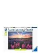 Ravensburger Lupins 500P Multi/patterned