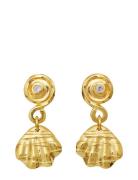 Maanesten Conca Earrings Guld