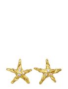 Maanesten Lana Earrings Guld