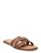 Steve Madden Edriah Sandal Brun