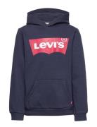 Levi's Levi's® Screenprint Batwing Pullover Hoodie Blå