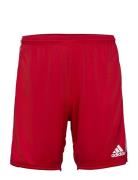 Adidas Performance Squadra 21 Short Röd