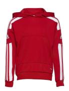 Adidas Performance Squadra21 Hoody Youth Röd