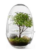 Design House Stockholm Grow Greenhouse Large Nude