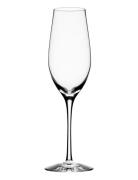 Merlot Champagne Glass 33Cl Home Tableware Glass Champagne Glass Nude ...