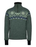 Dale Of Norway Fongen Wp Masc Sweater Grön