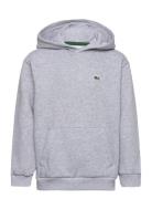 Lacoste Sweatshirts Grå