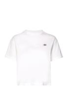 Dickies F Oakport Boxy Ss Tee Vit