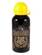 Harry Potter Harry Potter Quidditch Water Bottle, Alumin. Svart