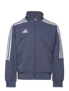 Adidas Performance J Hot Ttop Blå