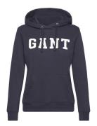 GANT Reg Graphic Hoodie Blå