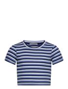 Tom Tailor Cropped Striped Rib T-Shirt Blå