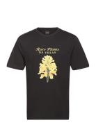 Stan Ray Rare Plants Tee Svart