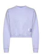 Replay Jumper Cropped Blå