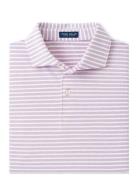 Peter Millar Albatross Cotton Blend Pique Polo - Edwin Spread C Lila