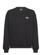 Dickies Millersburg Sweatshirt Svart