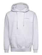 S.T. VALENTIN Heavyweight Organic Logo Hoodie - Ash Grå