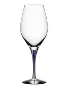 Intermezzo Blue Balance 44Cl Home Tableware Glass Wine Glass White Win...