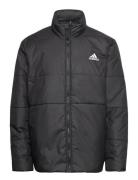 Adidas Sportswear Bsc 3S Ins Jkt Svart