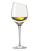 Vinglas Sauvignon Blanc Home Tableware Glass Wine Glass White Wine Gla...