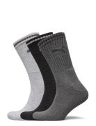 PUMA Puma Unisex Striped Crew Sock 3P Grå